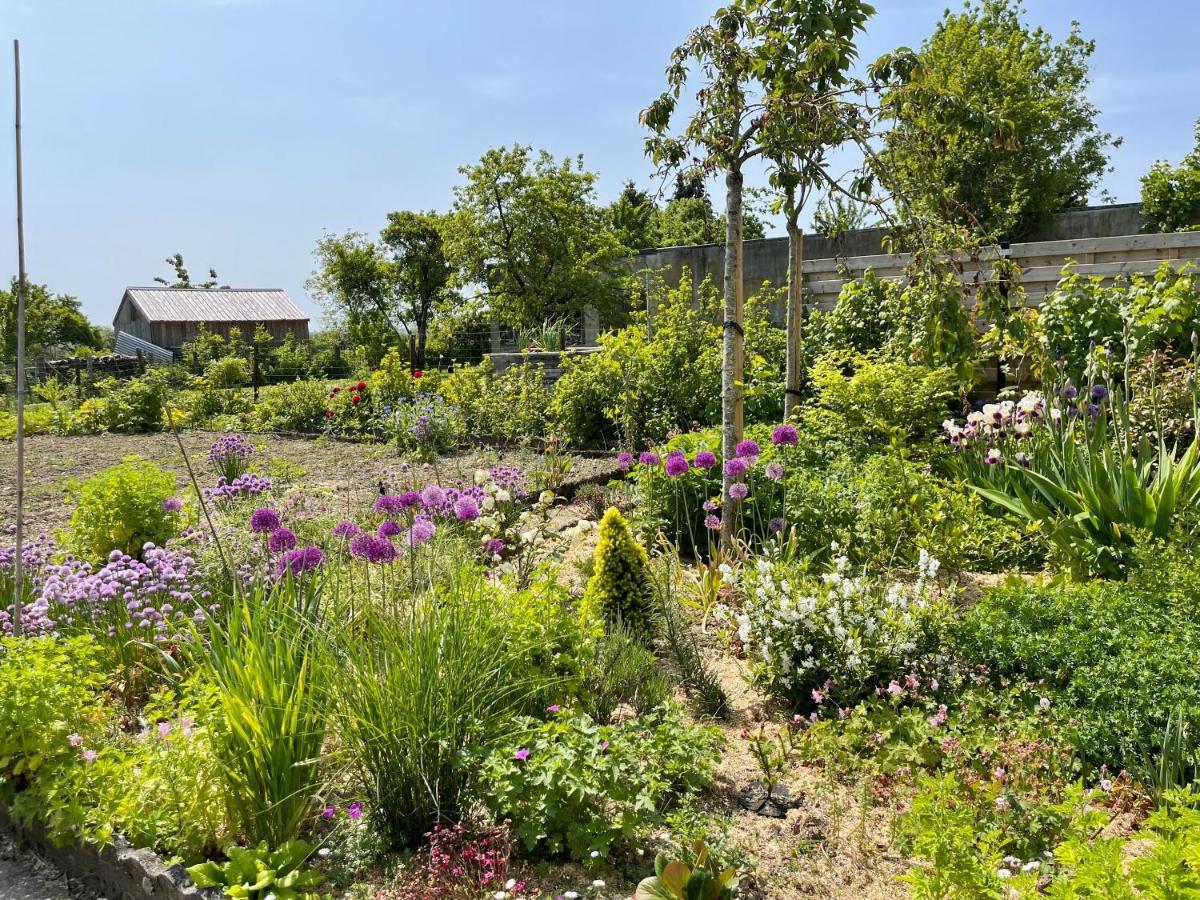 Les Pimprenelles Villa Боранг Екстериор снимка